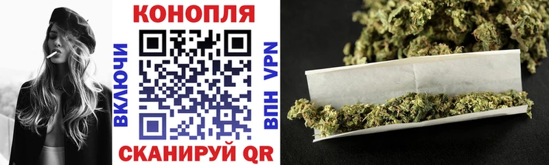 Конопля OG Kush  как найти наркотики  Советск 